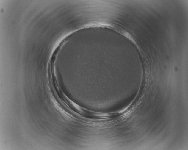 X0000058141124200509261305