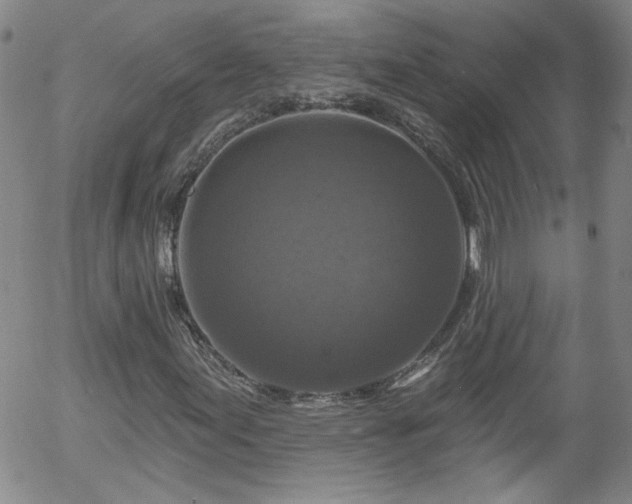 X0000058141155200509261304