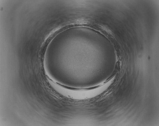 X0000058141160200509261304