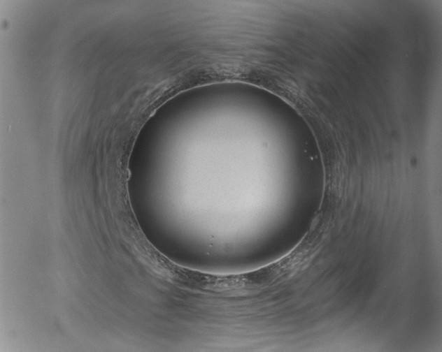 X0000058141201200509261303