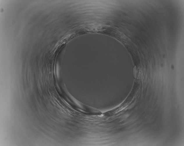 X0000058141202200509261303