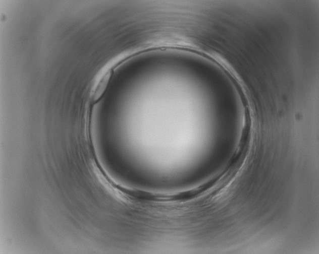 X0000058141246200509261303