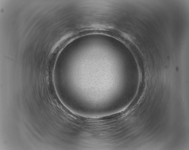 X0000058141307200509261301