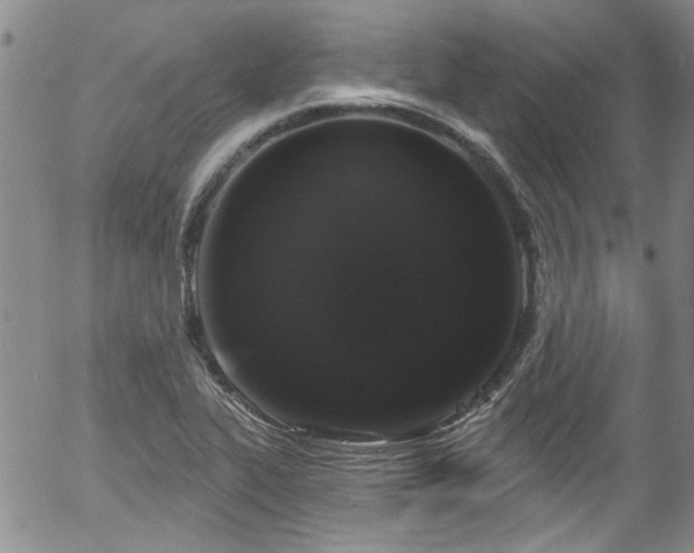 X0000058141319200509261301