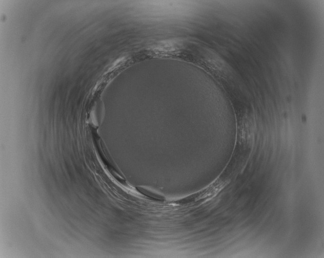 X0000058141346200509261301