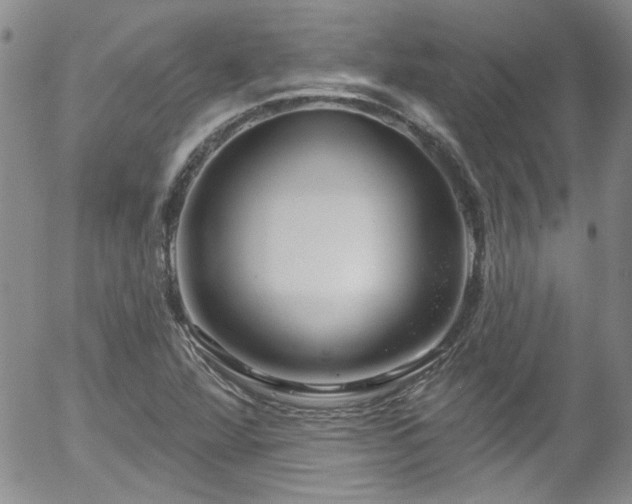 X0000058141360200509261301