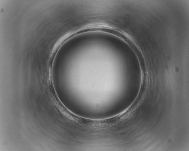 X0000058141366200509261301