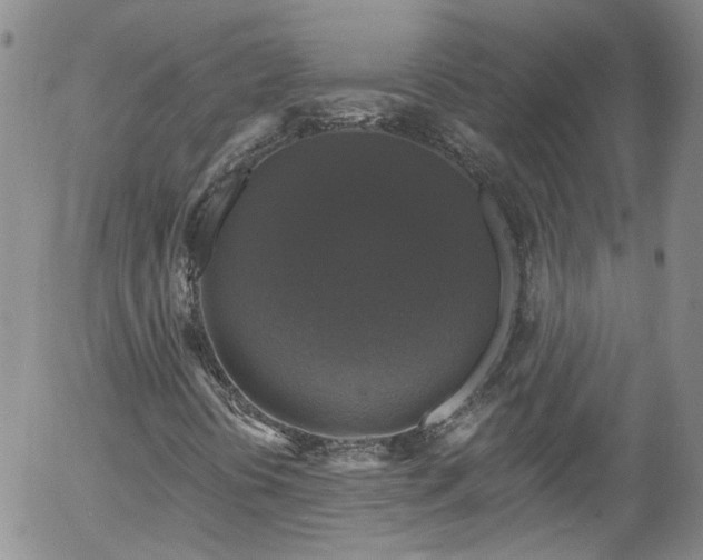 X0000058141394200509261259