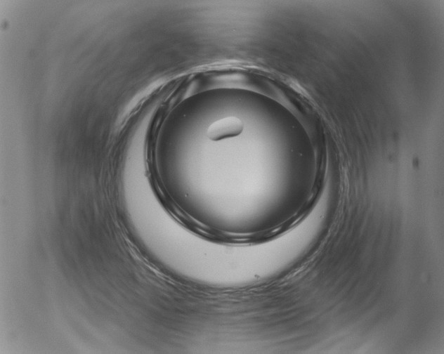 X0000058141406200509261300