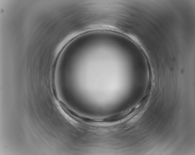 X0000058141438200509261300