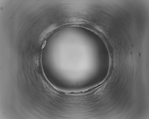 X0000058141451200509261259