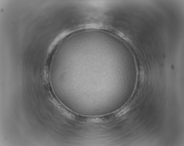 X0000058141454200509261259