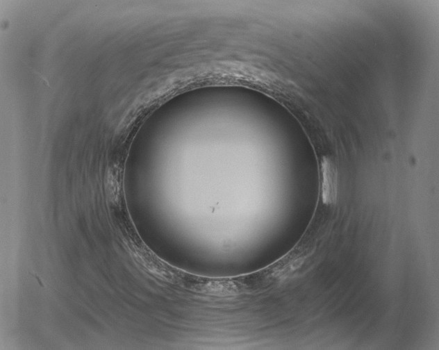 X0000058141491200509261258
