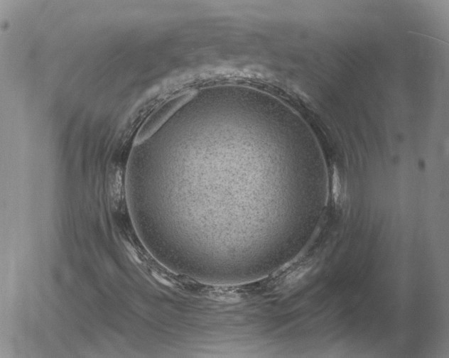 X0000058141492200509261258