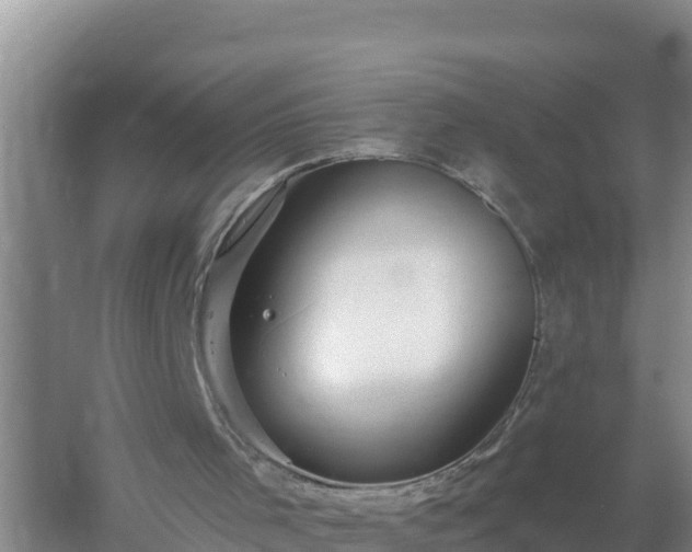 X0000058140001200509302031