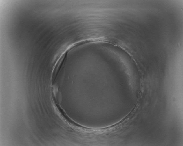 X0000058140002200509302031