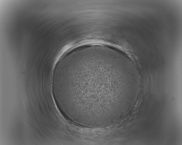 X0000058140003200509302031