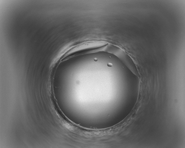 X0000058140005200509302031