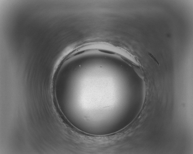 X0000058140006200509302031