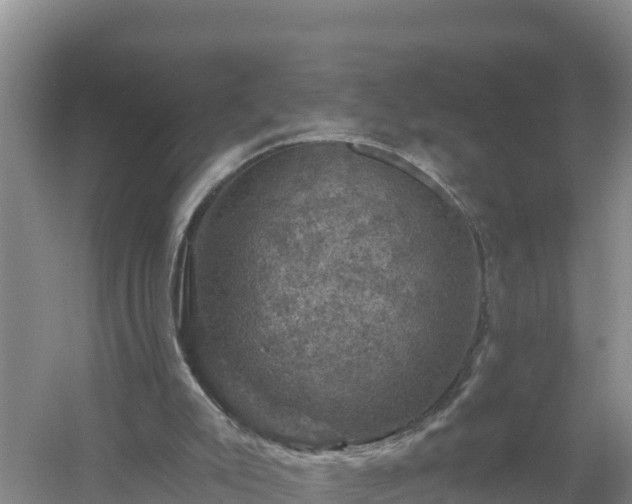 X0000058140007200509302031