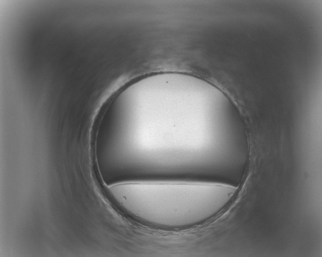 X0000058140008200509302031