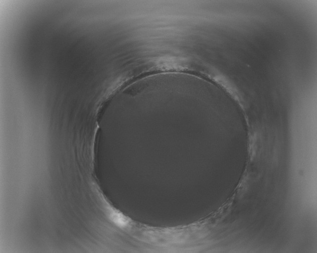 X0000058140009200509302031