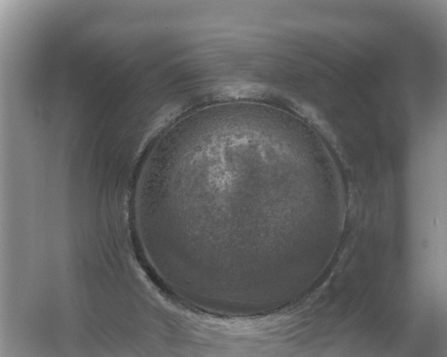 X0000058140010200509302031