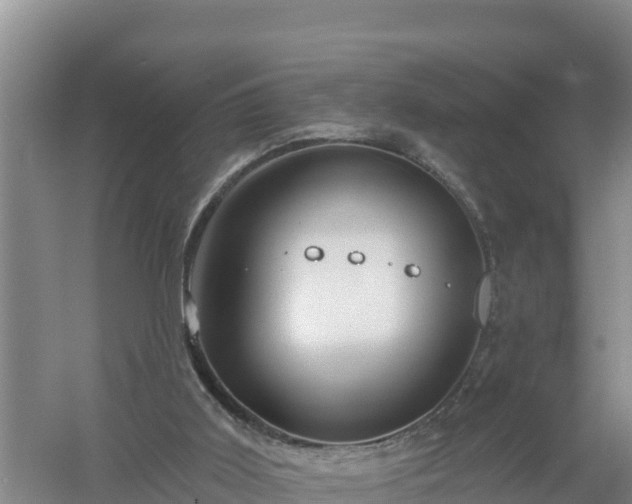 X0000058140011200509302031