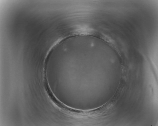 X0000058140012200509302031