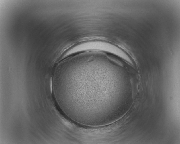 X0000058140013200509302031