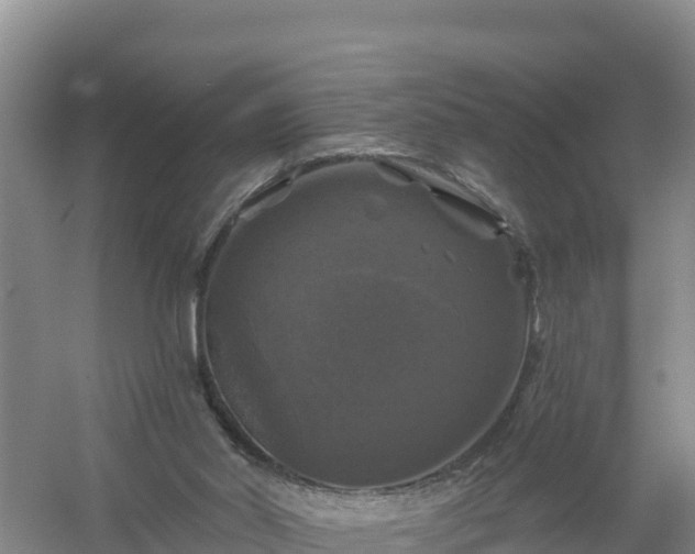 X0000058140014200509302031