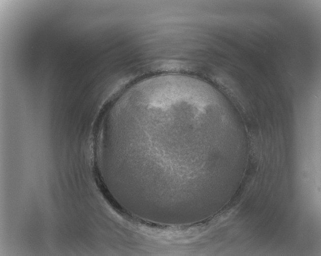 X0000058140016200509302031