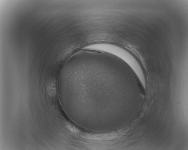 X0000058140017200509302031