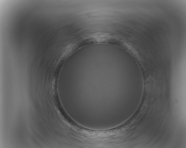 X0000058140018200509302031