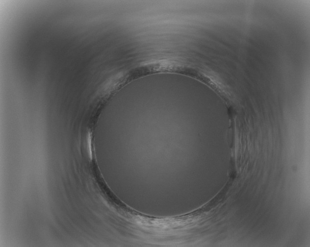 X0000058140022200509302031