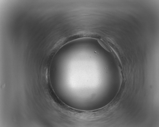 X0000058140024200509302030