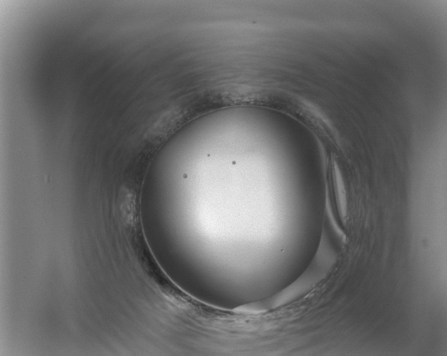 X0000058140025200509302030