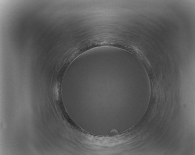 X0000058140026200509302030