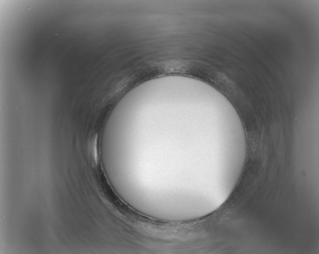 X0000058140028200509302030