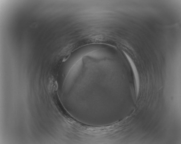 X0000058140029200509302030