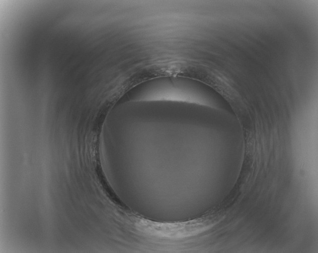 X0000058140030200509302030