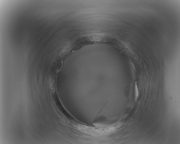 X0000058140031200509302030