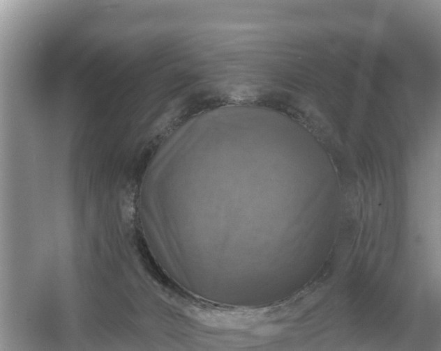 X0000058140032200509302030