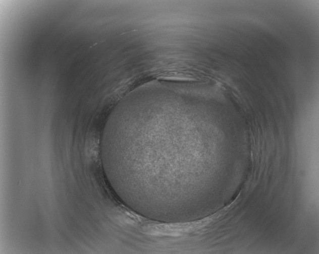 X0000058140033200509302030