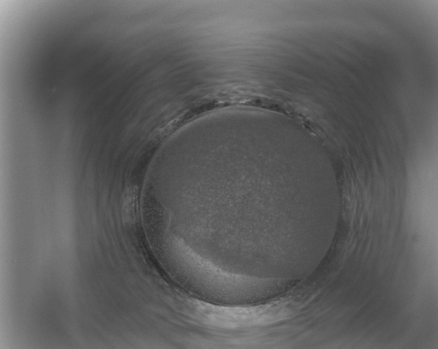 X0000058140034200509302030