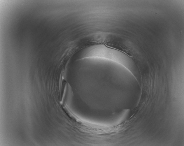 X0000058140035200509302030