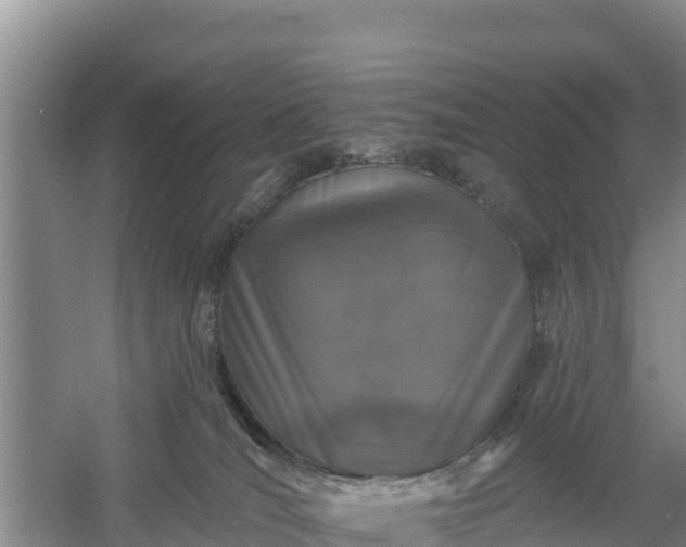 X0000058140036200509302030