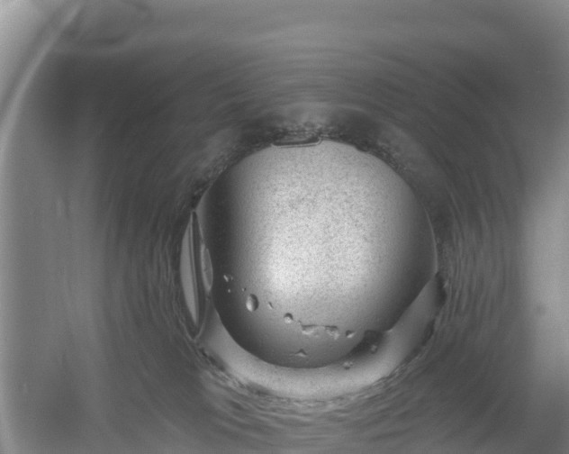 X0000058140037200509302030