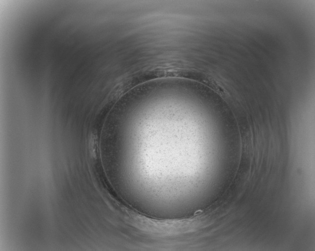 X0000058140038200509302030