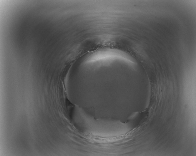 X0000058140039200509302030